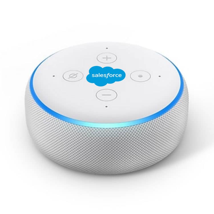 Custom Amazon Dot 3rd Generation