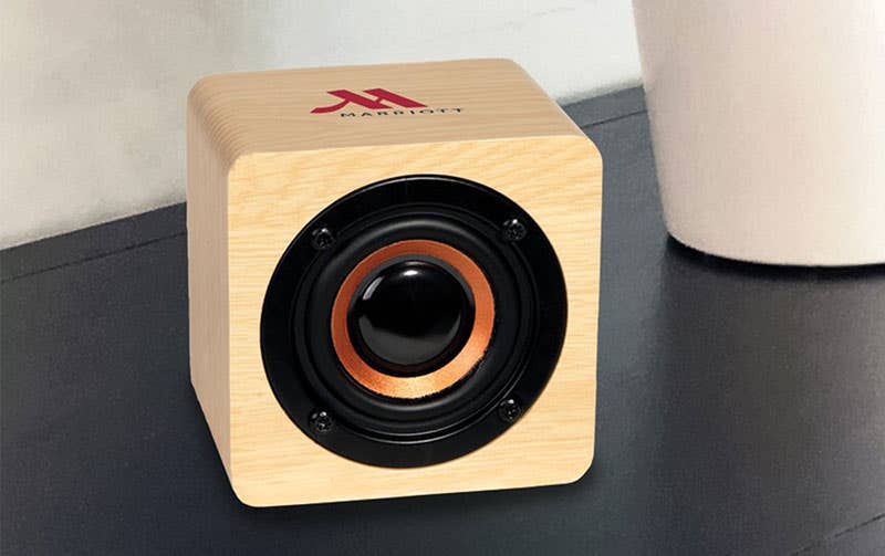 Custom Bamboo Speaker