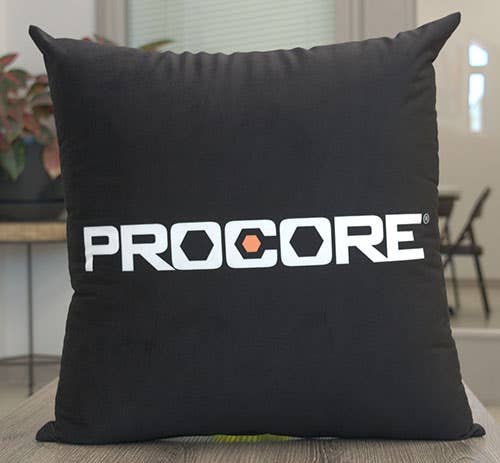 Custom Pillows in Any Color