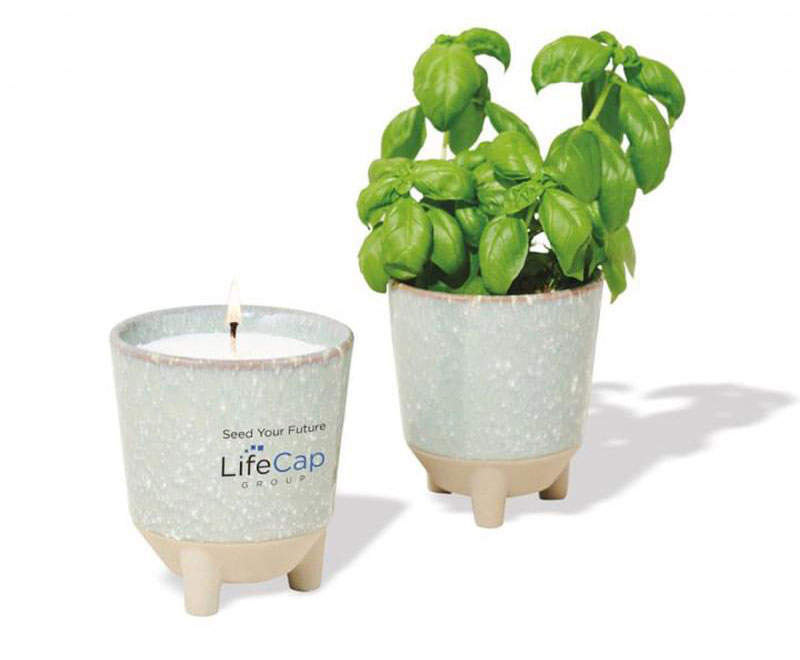 Grow & Glow Plant Gift