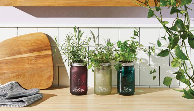 Modern Sprout Garden Jar (Mint)