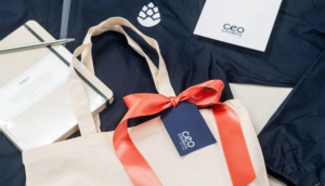 Gift Bags For Corporate Events Hero