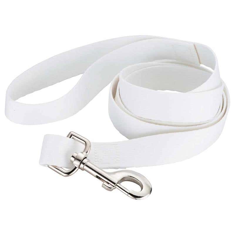 1" Wide Polyester Pet Leash