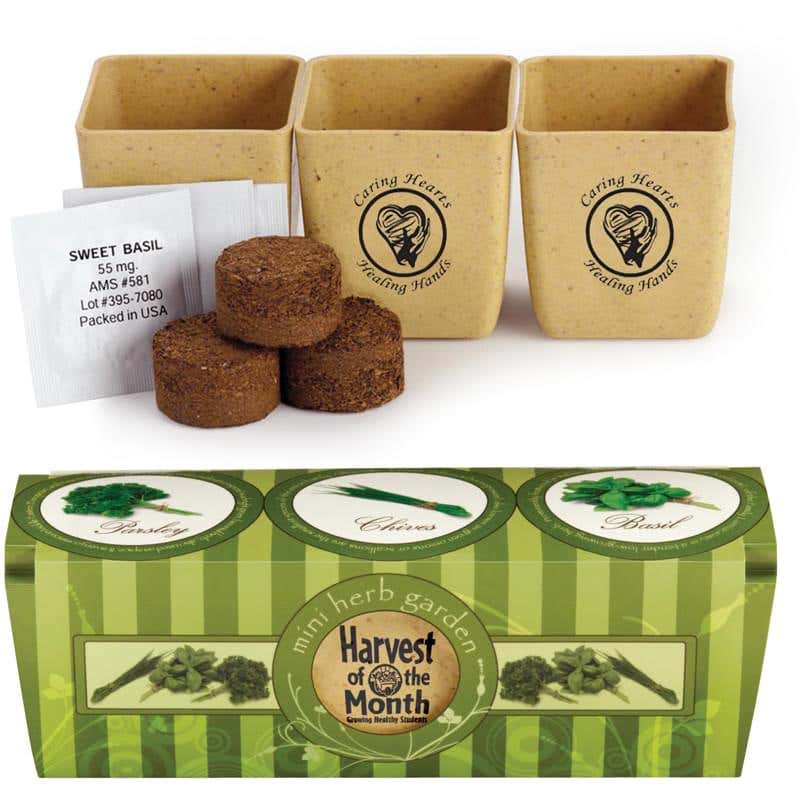 Growpot Eco-Planter Herb 3-Pack