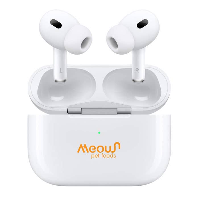 Apple AirPods Pro (2nd Gen) Customized