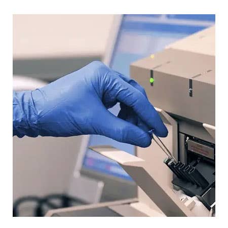 Blue Nitrile Gloves Lab